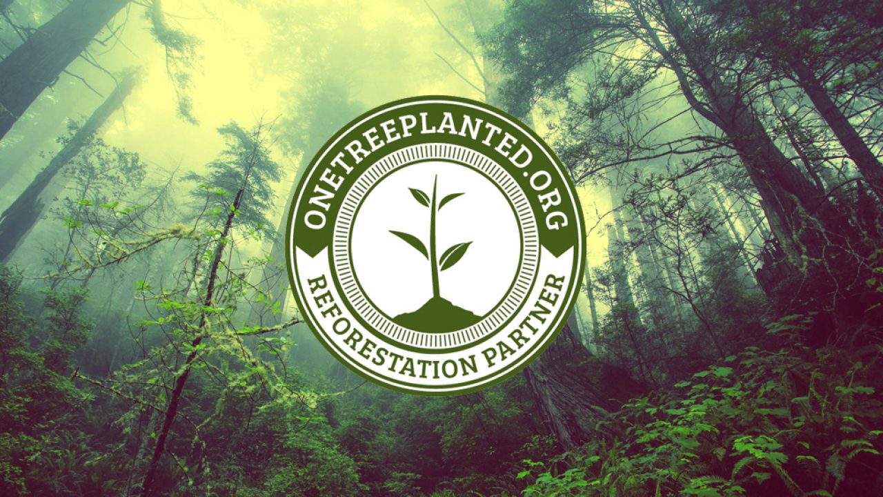 Tree to be Planted